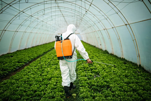 Professional Pest Control in North Bend, NE