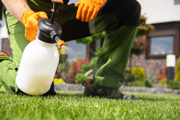 Best Insect Control  in North Bend, NE